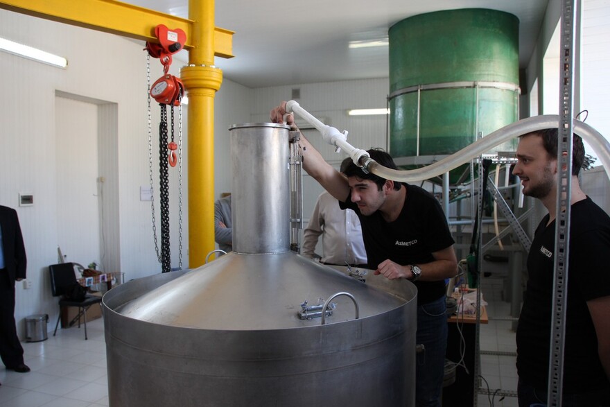 Основные направления